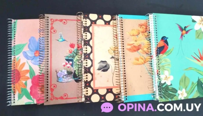 Papeleria Outside -  Interior - Maldonado