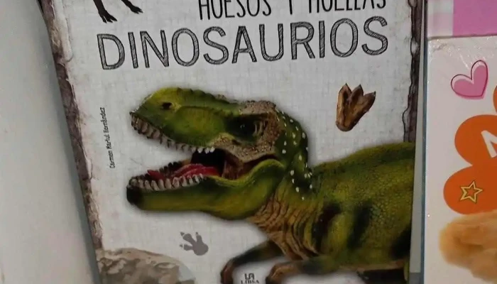 Papeleria Patitas Interior - Durazno