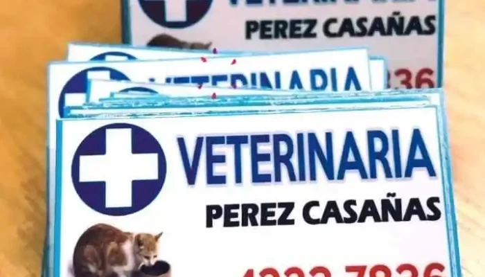 Papeleria Pian -  Videos - Maldonado