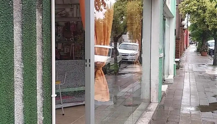 Papeleria Salon Gamalu -  Telefono - Cardona