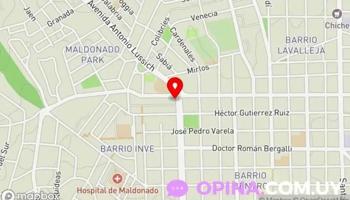 mapa de PAPELERIA TINTA AZUL Comercio en Maldonado