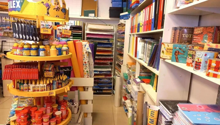 Papeleria Y Libreria Acuarela -  Libro - Minas