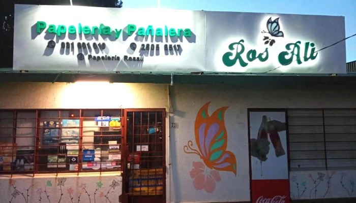 Papeleria Y Panalera Ros Ali Del Propietario - Ciudad de la Costa