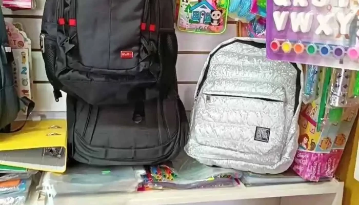 Papeleria Y Regaleria Girasoles Interior - Artigas