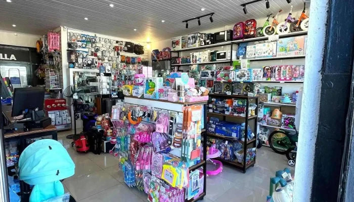 Papeleria Zorrilla Paysandu -  Interior - Paysandú