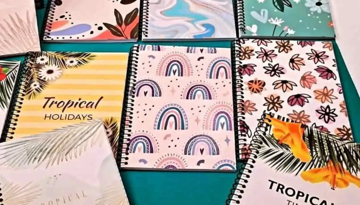 Papeluxe Papeleria Catalogo - San Carlos