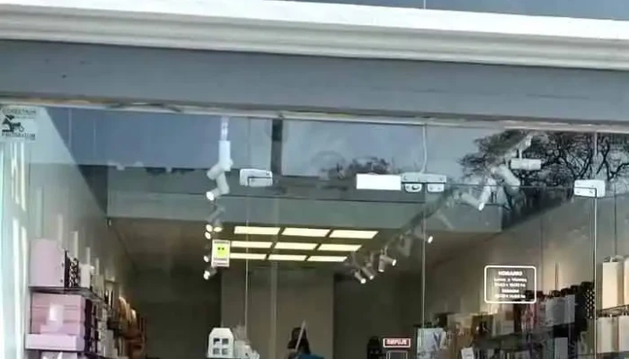 Paperpack Bolsas De Papel Packaging   Acuna De Figueroa Y 3 De Febrero   Maldonado Videos - Maldonado