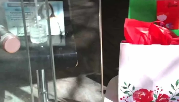 Paperpack Bolsas De Papel Packaging Interior - Montevideo