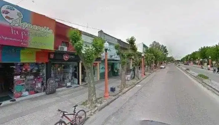 Papiros -  Fotosdeg - Sarandí Grande