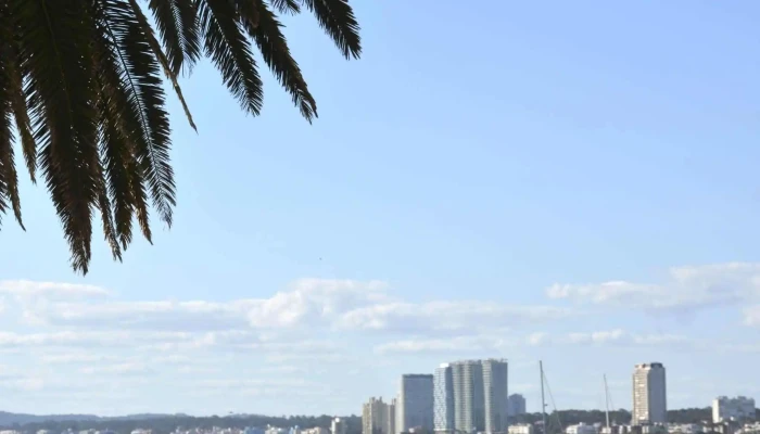 Parada 1 Playa Mansa -  Comentario 2 - Punta del Este