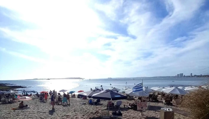 Parada 1 Playa Mansa -  Comentario 6 - Punta del Este