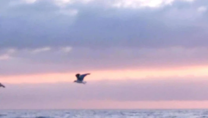 Parada 1 -  Todo - Barra del Chuy