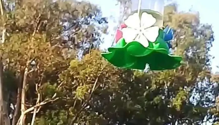 Parada 1 -  Videos - Barra del Chuy