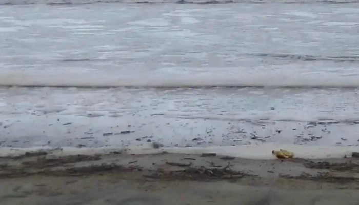 Parada 12 -  Videos - Barra del Chuy