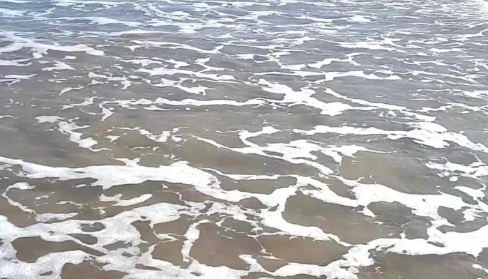 Parada 14 -  Videos - Barra del Chuy