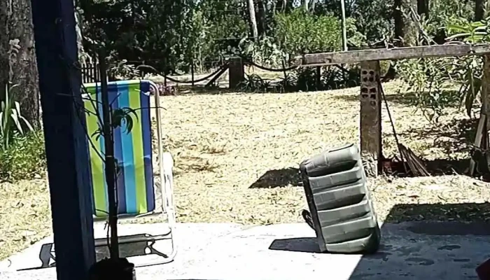 Parada 18 -  Videos - Barra del Chuy