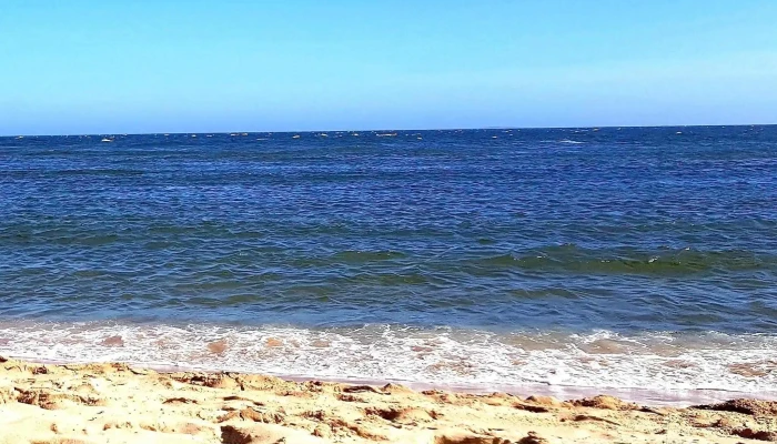 Parada 30 Brava -  Amex Beach Club Comentario 4 - Punta del Este