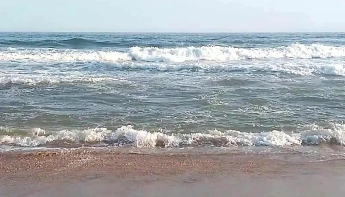 Parada 30 Brava -  Amex Beach Club Videos - Punta del Este