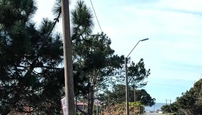 Parada 8 -  Todo - La Paloma