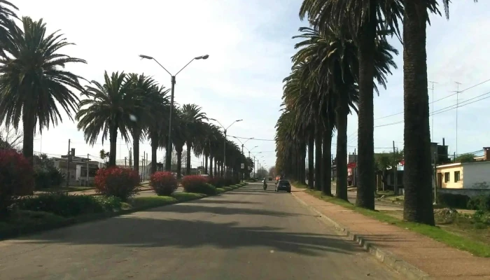 Parada De Rivera -  Comentario 1 - San José de Mayo