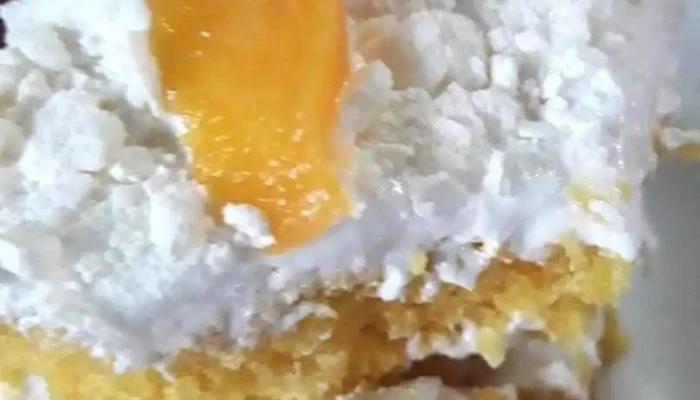 Parador Arequita -  Pastel De Coco - Minas