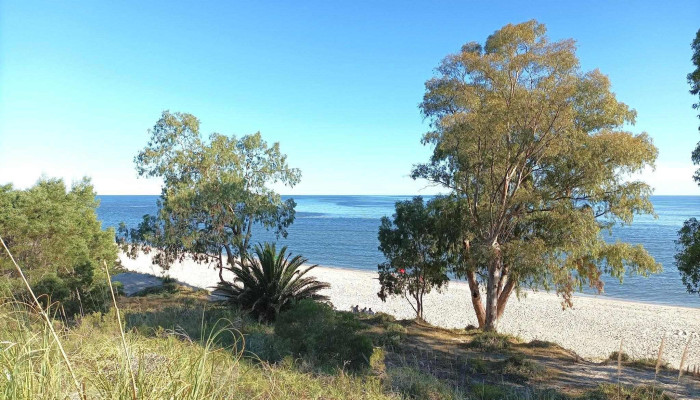 Parador Chico - Departamento De San José