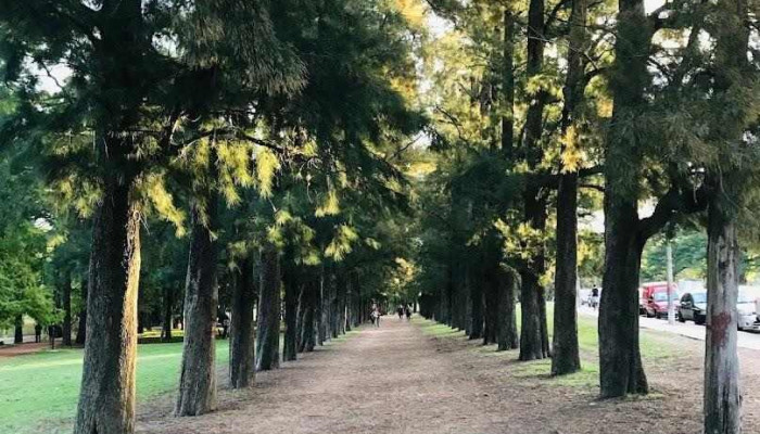 Parador Del Prado -  Circuito Aerobico Del Prado - Montevideo