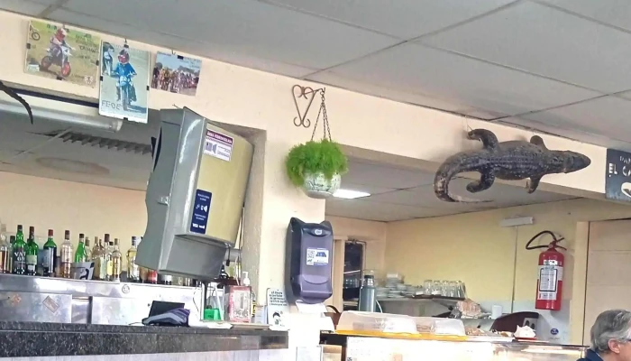 Parador El Caiman Comentario 3 - Libertad