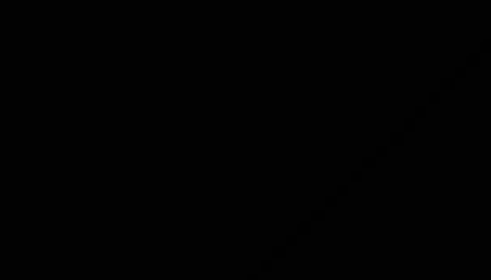 Parador El Pepe Videos - Santa Rosa