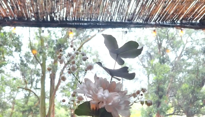 Parador Gourmet Punta Espinillo -  Comentario 2 - Montevideo