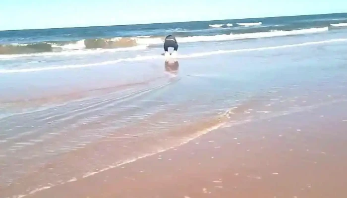 Parador La Dorada -  Videos - Ciudad de la Costa