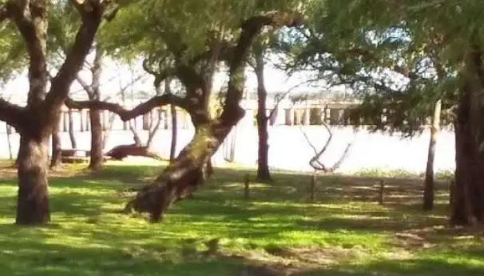 Parador Los Sauces -  Todas - Nuevo Berlín