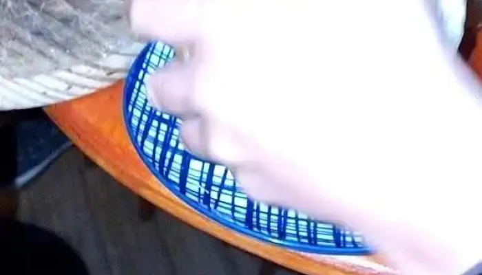 Parador Magnus -  Videos - Maldonado