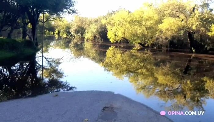 Parador Playa El Sauzal -  Videos - Durazno