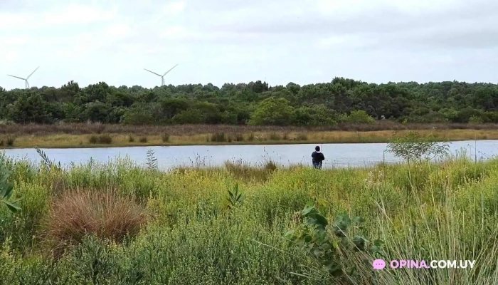 Parador Punto De Encuentro -  Videos - Barra del Chuy