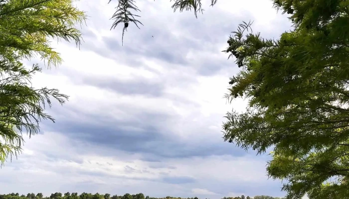 Parque Batlle -  Comentario 1 - Tacuarembó