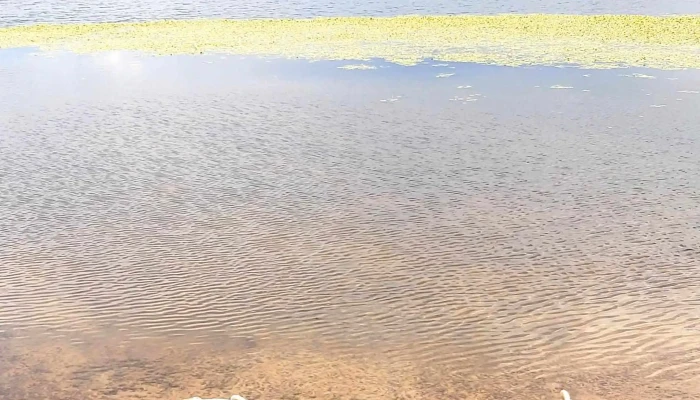 Parque Batlle -  Comentario 2 - Tacuarembó