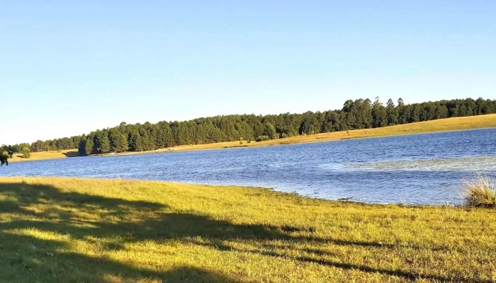 Parque Batlle -  Comentario 3 - Tacuarembó