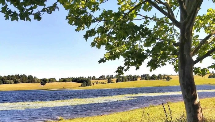 Parque Batlle -  Comentario 4 - Tacuarembó