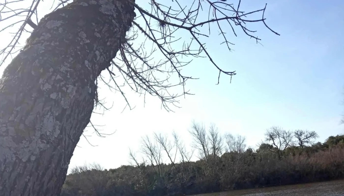 Parque Batlle -  Comentario 9 - Tacuarembó