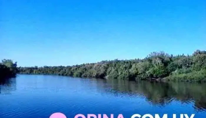 Parque Batlle -  Todo - Tacuarembó