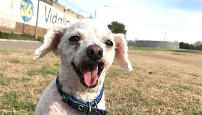 Parque Del Bicentenario -  Opiniones - Durazno