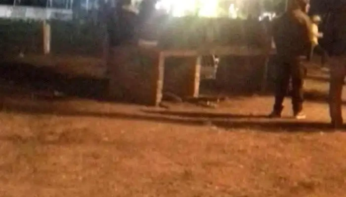 Parque Francisco Davant -  Videos - Villa del Carmen