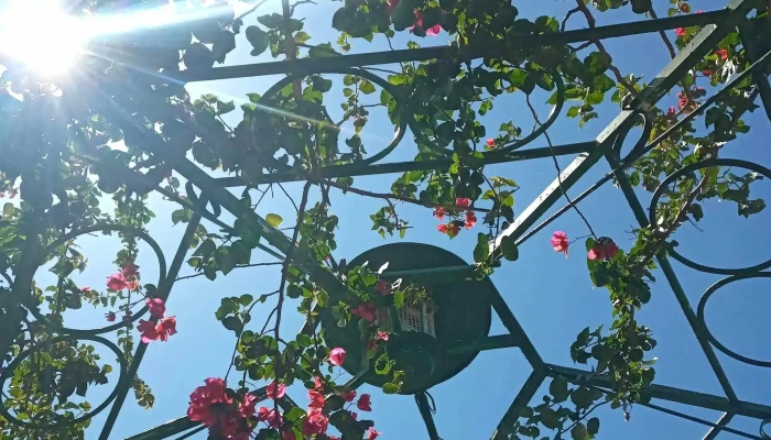 Parque Gral Fructuoso Rivera Comentario 1 - Bella Unión