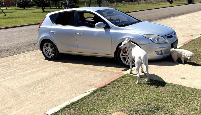 Parque Gral Fructuoso Rivera Recientes - Bella Unión