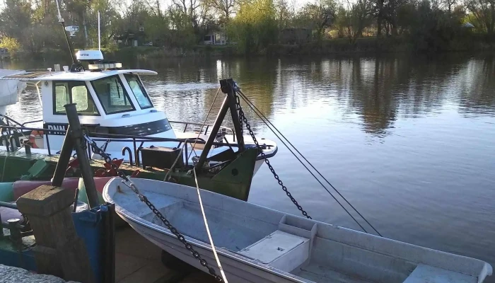Parque Guernica -  Comentario 2 - Mercedes