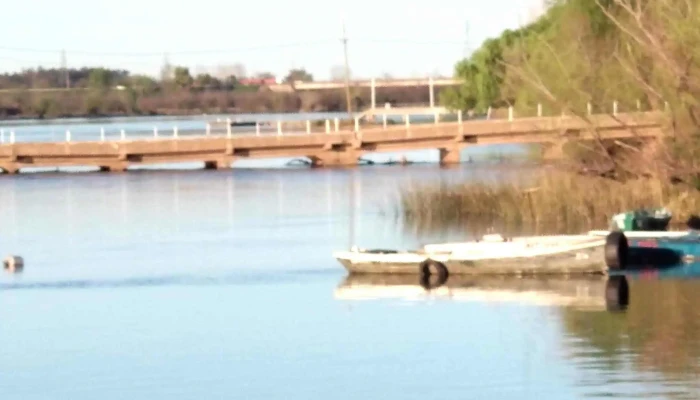 Parque Guernica -  Comentario 4 - Mercedes