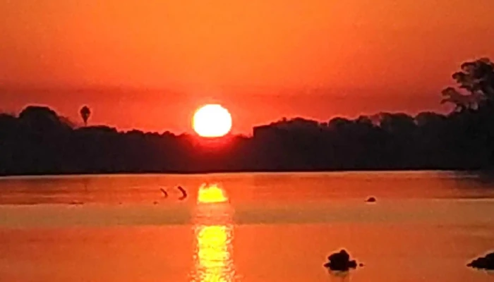 Parque Guernica -  Comentario 5 - Mercedes