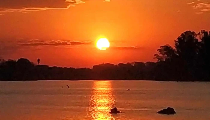 Parque Guernica -  Comentario 6 - Mercedes