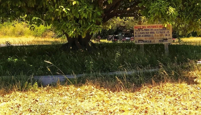 Parque Guernica -  Comentario 7 - Mercedes